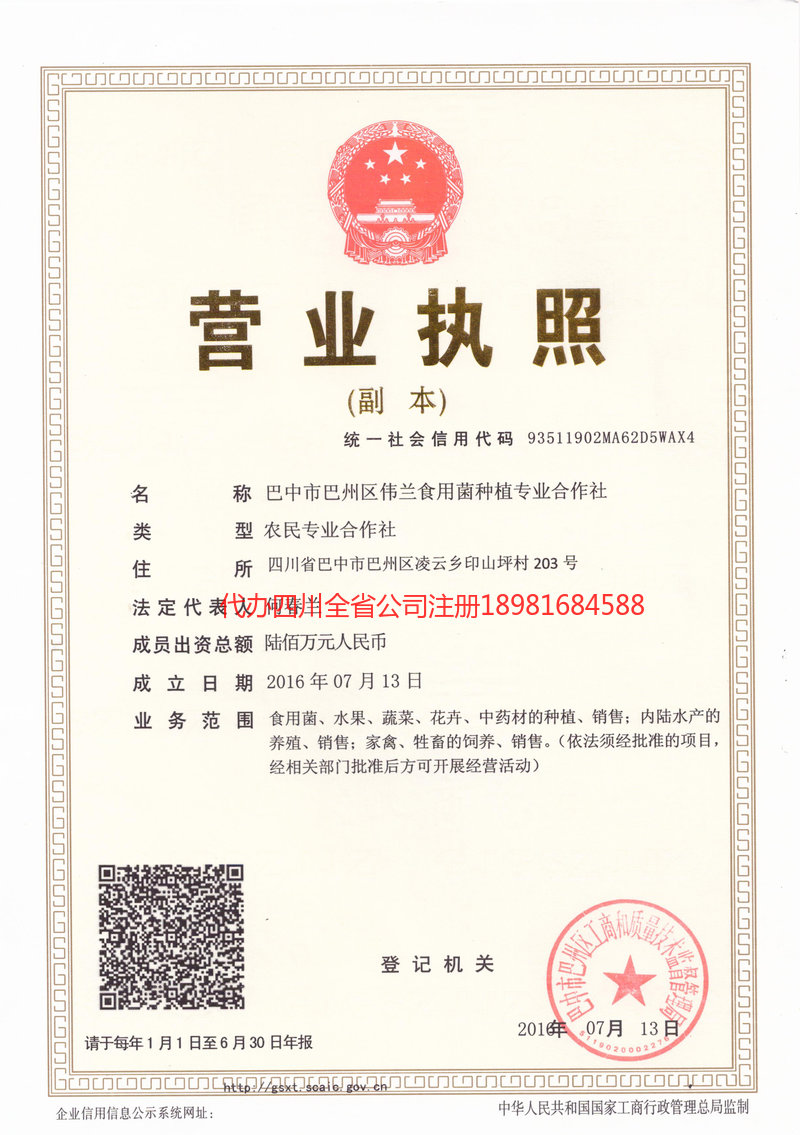 泰州泰州伟兰食用菌种植专业合作社